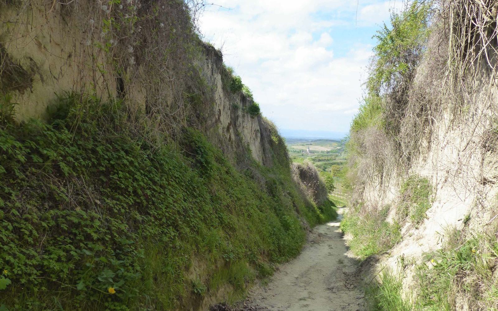 Kaiserstuhl (2)