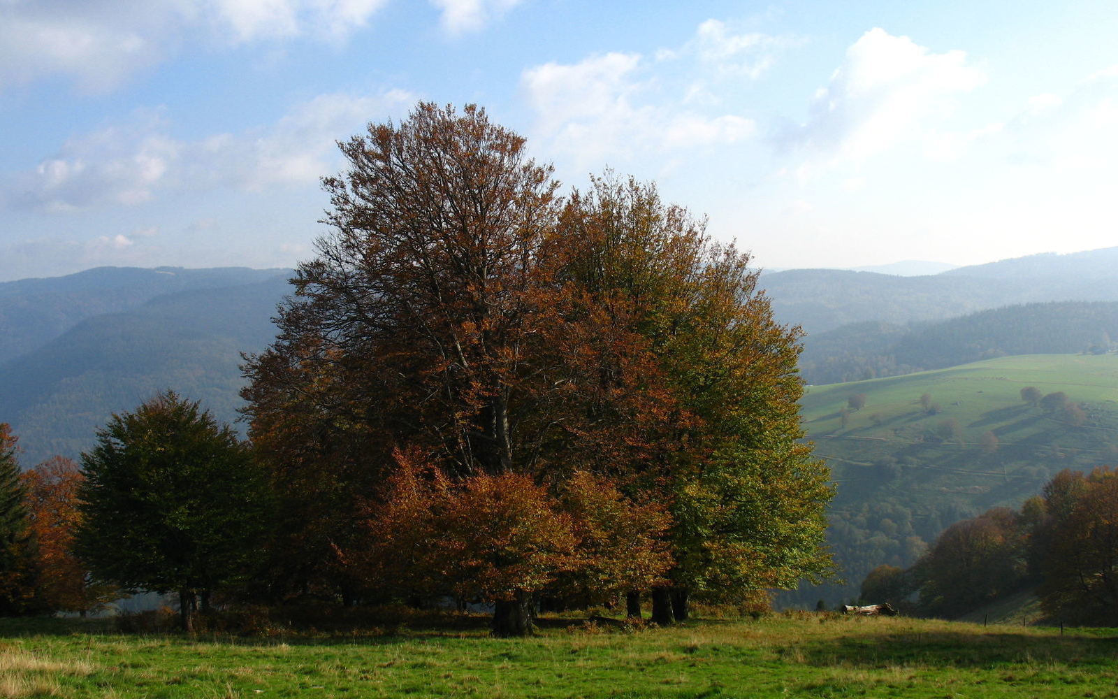 2006-10-13-Herbst-am-Schauinsl and-32