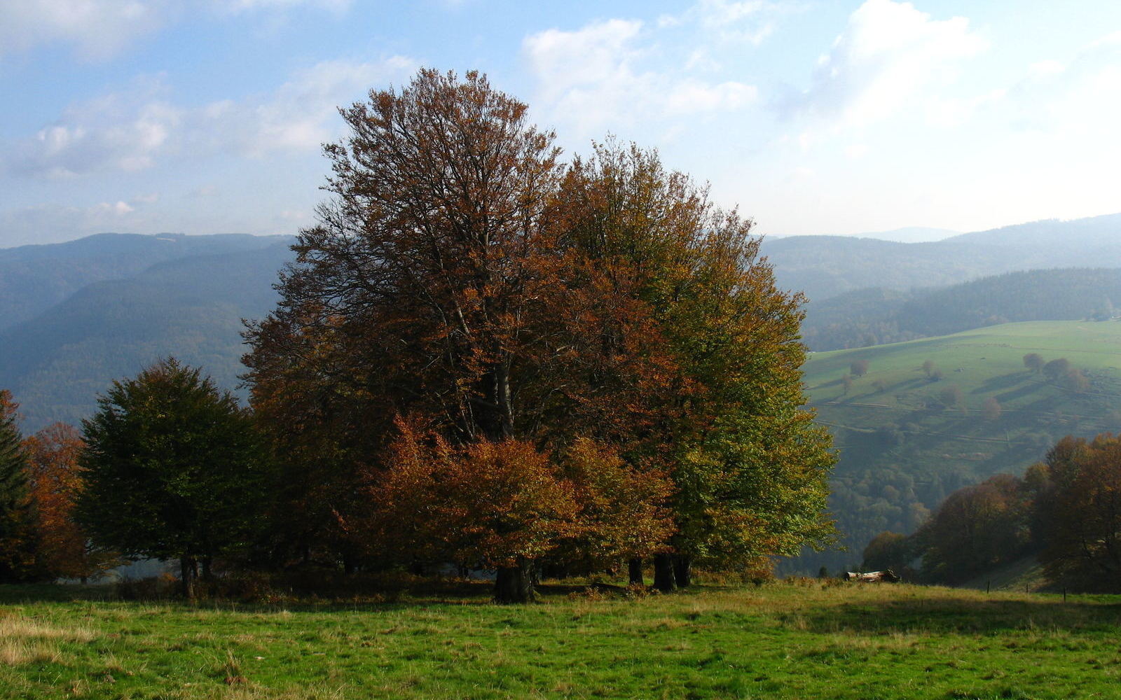 2006-10-13-Herbst-am-Schauinsl and-32