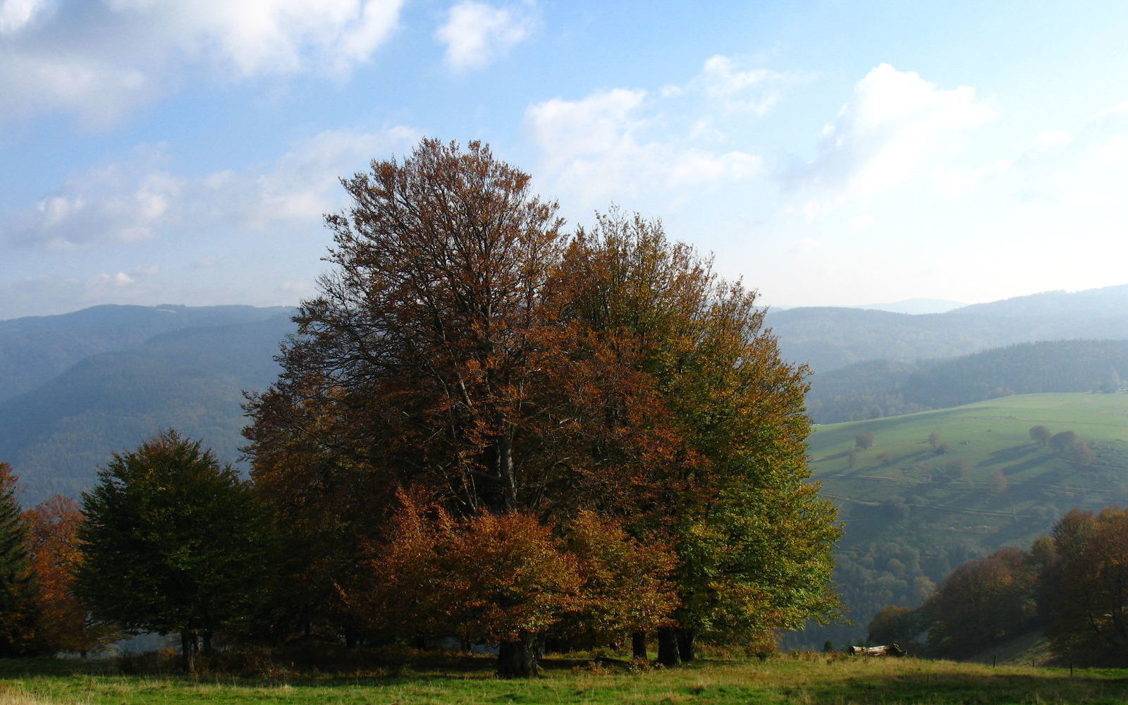 2006-10-13-Herbst-am-Schauinsl and-32